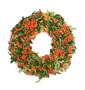 Feuerdornkranz / Pyracantha Hybride