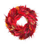 Roter Herbstkranz  - Roter Schlitzahorn und Perückenstrauch / Acer palmatum 'Dissectum Atropurpureum' und Cotinus 'Flame'