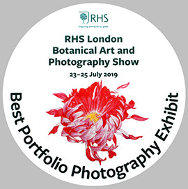 Best Portfolio Photography Exhibit